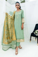 FOREST GREEN - image 4