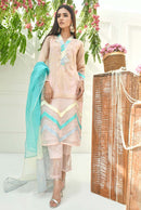 KASHISH - image 1