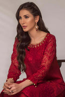 MAROON AURA - image 6