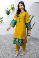 SL-DAS-003 - image 1