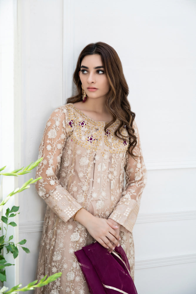 Top 10 Pakistani Wedding Dresses Trends in Spring 2022 – Shireen Lakdawala