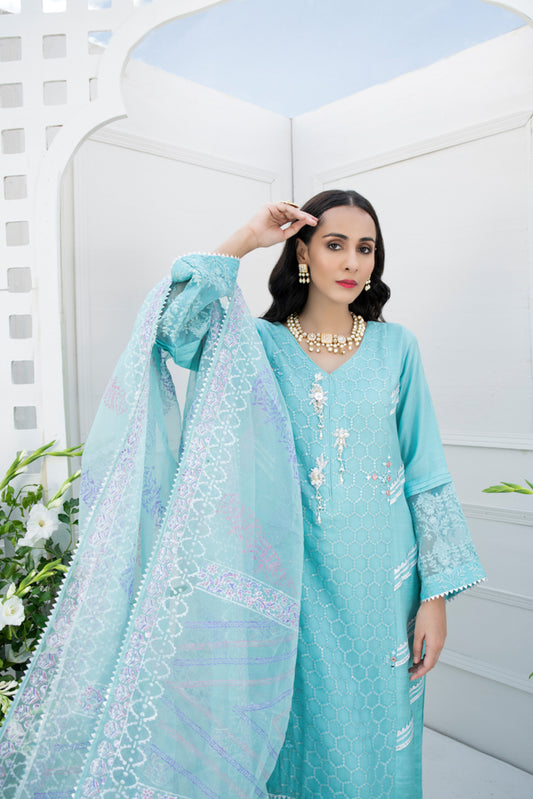 DOs and DON’Ts for Your Pakistani Formal Dresses