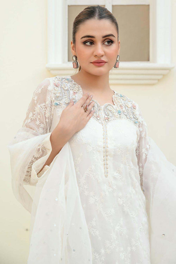 green emerald velvet dress AZIRA – White Chiffon Pakistani Dress with Crystal Embroidery – Shireen  Lakdawala