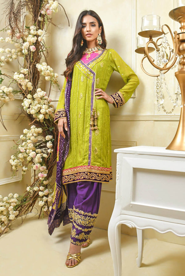 Afsara Pakistani Dress – Organza with Hand Embroidery & Pearl Work –  Shireen Lakdawala