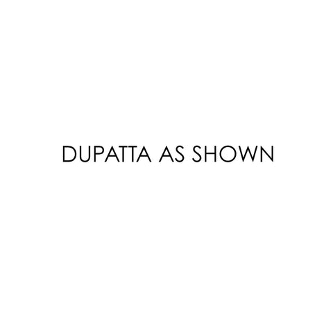 Dupatta as Shown + $65